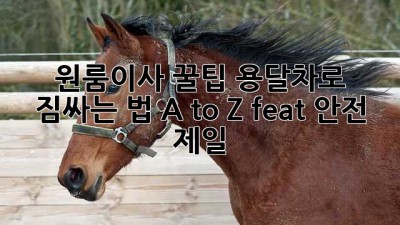 원룸이사 꿀팁🍯 용달차로 짐싸는 법 A to Z (feat. 안전 제일!)
