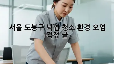 서울 도봉구 낙엽 청소, 환경 오염 걱정 끝!